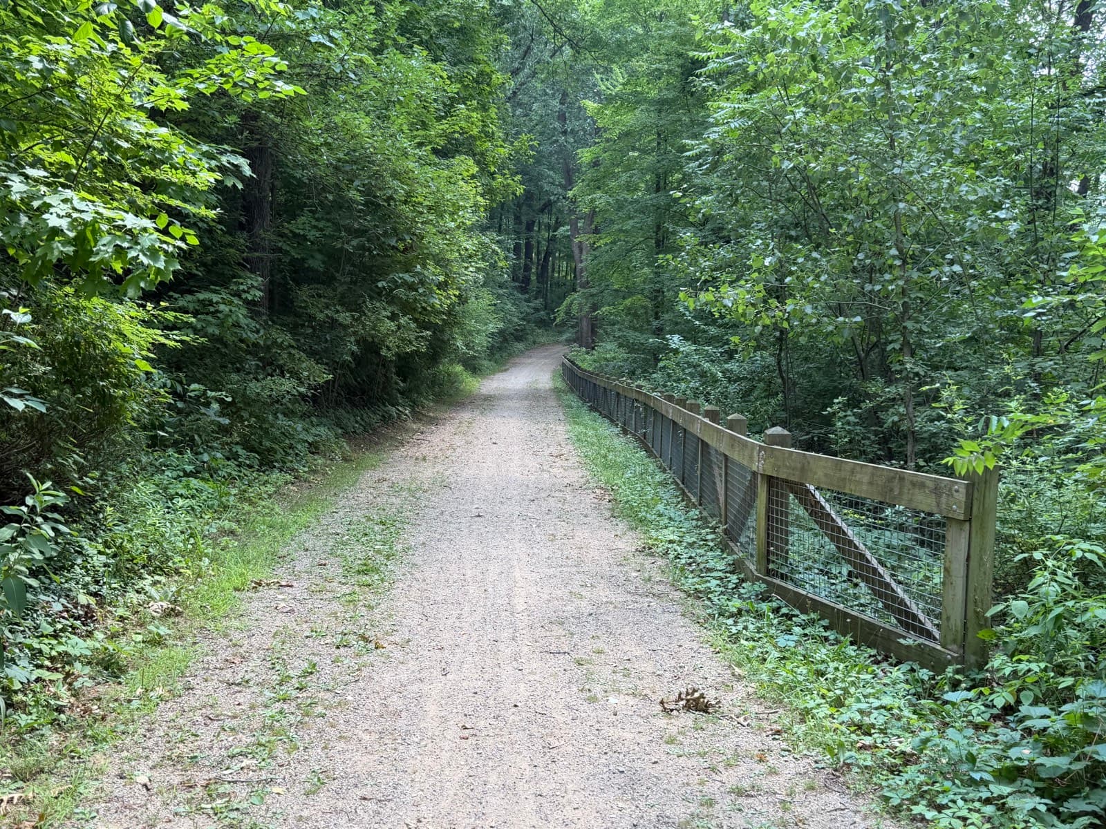 The gravel trail continuing on through green woods toward the light, no one on it
